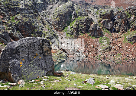 La Route 8 e 8A a Lac Gimillan Lussert vicino a Parco Nazionale del Gran Paradiso Italia Foto Stock