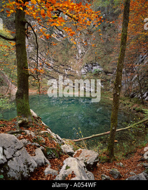 Divje jezero o lago selvaggio vicino a Idrija, Primorska, Slovenia Foto Stock
