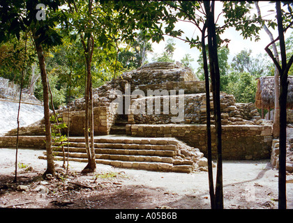 Rovine Maya a Coba Quintana Roo MEXICO Foto Stock
