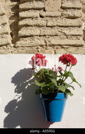 Tipico cortile nel quartiere ebraico di Córdoba Andalusia Spagna Foto Stock