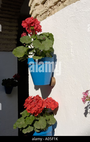 Tipico cortile nel quartiere ebraico di Córdoba Andalusia Spagna Foto Stock