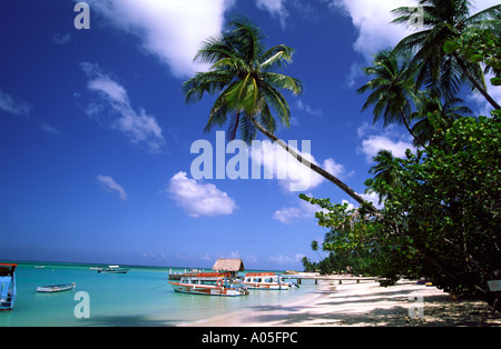 Tobago Pigeon Point tramonto sul mare dei Caraibi le palme Foto Stock