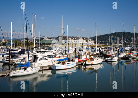 Barche nel porto porto Squalicum di Bellingham Washington stato USA Foto Stock