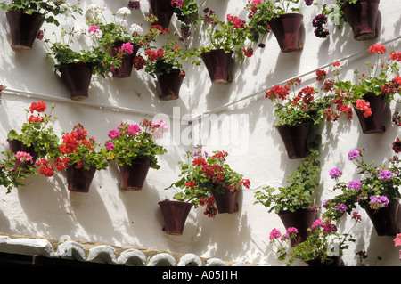 Tipico cortile nel quartiere ebraico di Córdoba Andalusia Spagna Foto Stock