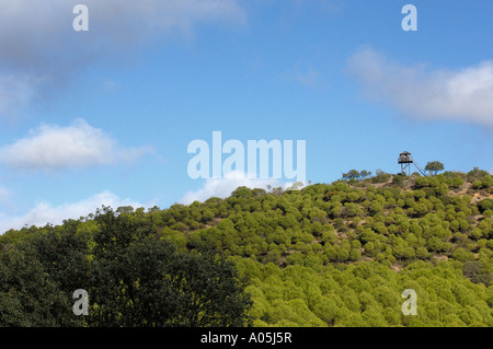 Foresta torre di vigilanza a Sierra de Hornachuelos parco naturale in provincia di Cordoba Andalusia Spagna Foto Stock