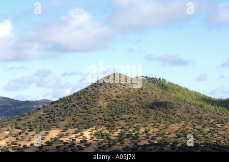 Paesaggio Hornachuelos parco naturale in provincia di Cordoba Andalusia Spagna Foto Stock