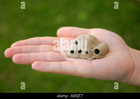 Potter Wasp Nest mostrando ingresso realizzato da adulto e esce fatta dal nuovo vespe, Sud Africa Foto Stock