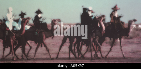 Bedouin tribesmen cavalcare i loro cammelli in Egitto Penisola del Sinai Foto Stock