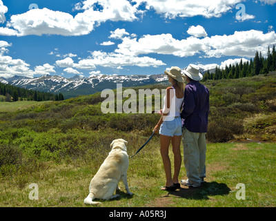 Giovane cane a piedi sul percorso vicino a Vail Colorado vertice USA Montagne Rocciose Foto Stock