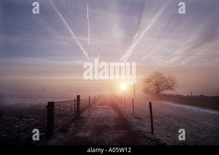 Aeroplano sentieri di vapore nel cielo a sunrise nel Galles centrale REGNO UNITO Foto Stock