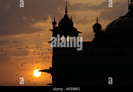 Tramonto sul tempio d'oro, il cuore del sikhismo. Amritsar Punjab, India. Foto Stock