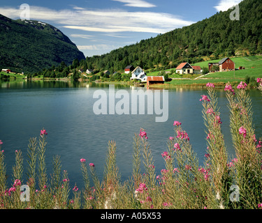 NO - Sogn og Fjordane: Lago Strynsvatn Foto Stock