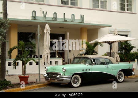 Miami Beach Florida USA Avalon Hotel su Ocean Drive visto da Lummus Park Foto Stock