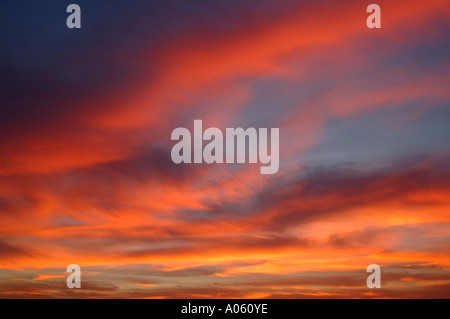 Tramonto riflettere sfumature di rosa su nubi stratocumulus Foto Stock