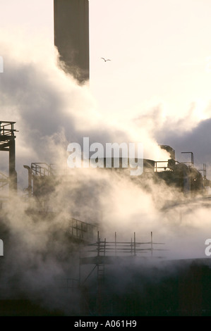 Rischi dovuti alle emissioni da Corus steel works, Teeside, Inghilterra Foto Stock