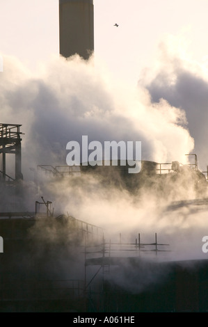 Rischi dovuti alle emissioni da Corus steel works, Teeside, Inghilterra Foto Stock
