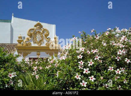Algarve, Lagos, hibiscus in fiore e palazzo storico Foto Stock