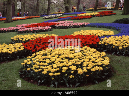 Keukenhof Giardini Tulip Lisse Olanda Foto Stock