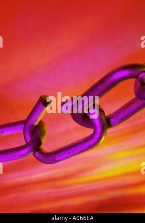 Anello debole della catena Foto Stock