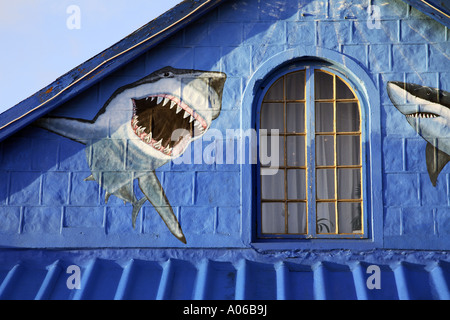 Shark pittura murale sulla parete di casa Foto Stock