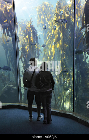 Matura in piedi di fronte a aquarium e guardare la foresta di kelp Foto Stock