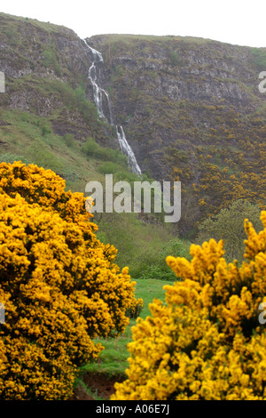 Irlanda del Nord nella contea di Antrim Glenariff cascata Foto Stock