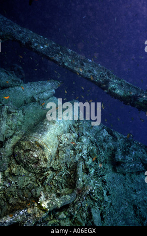 Egitto Underwater SS Thistlegorm coral encusted gusci di artiglieria Foto Stock