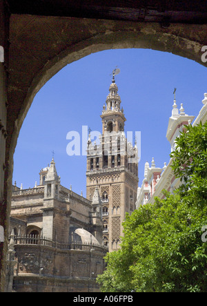 Siviglia, la cattedrale e la torre Giralda Foto Stock