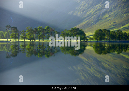 Riflessioni sulla riva del Buttermere all'alba Cumbria Distretto dei Laghi Cumbria Inghilterra England Regno Unito Foto Stock