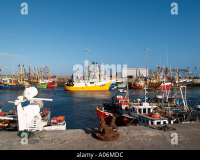 KILMORE QUAY MARINA con commerciale ormeggiate barche da pesca KILMORE QUAY 'Co Wexford' Eire Foto Stock