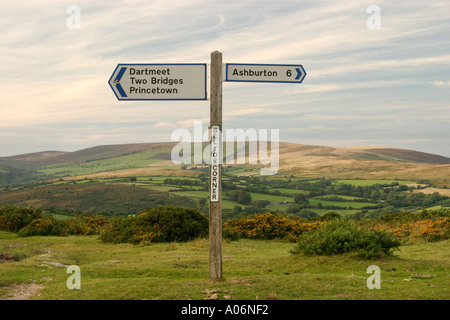 Dartmoor palina ad angolo Beltor, Devon, Inghilterra, Regno Unito Foto Stock