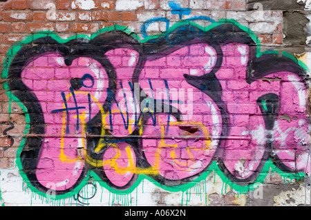 Graffiti Dundee Tayside Scotland Regno Unito Foto Stock