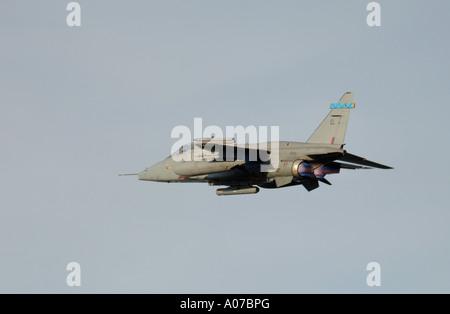 RAF SEPECAT Jaguar GR3A. Attacco a terra degli aeromobili 4134-392 XAV Foto Stock