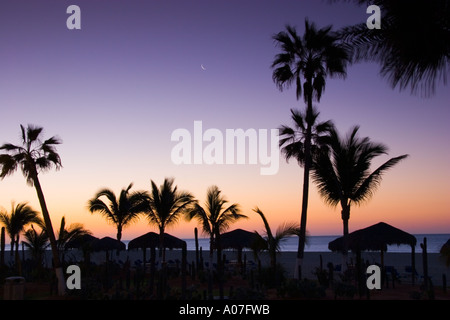 Beach Sunrise in San Jose del Cabo Messico Foto Stock