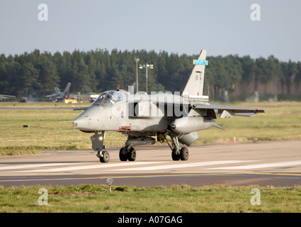RAF SEPECAT Jaguar GR3A. 4064-386 XAV Foto Stock