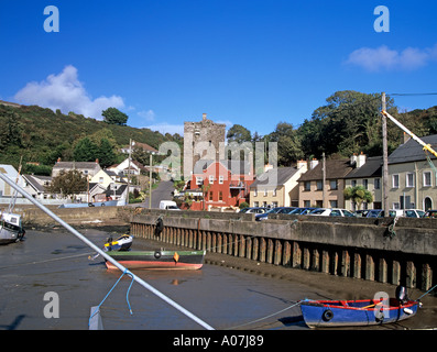 BALLYHACK Co Wexford Repubblica di Irlanda Europa ottobre vista del Castello dal porto sul fiume Suir Foto Stock