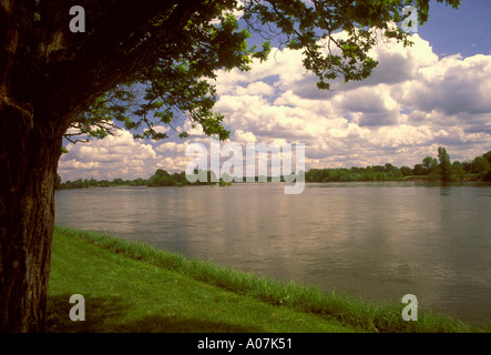 Fiume Loira, vicino alla città di Langeais, Valle della Loira, Indre-et-Loire, Regione centrale, Francia, Europa Foto Stock