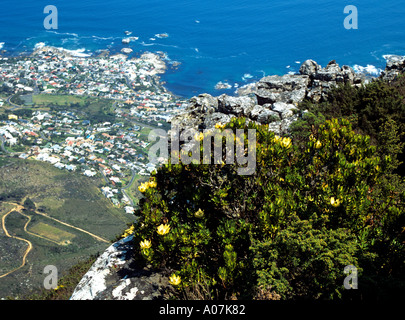 Città del Capo SUD AFRICA Ottobre vista su tutta la città di Clifton e Camps Bay dalla cima della montagna della tavola Foto Stock