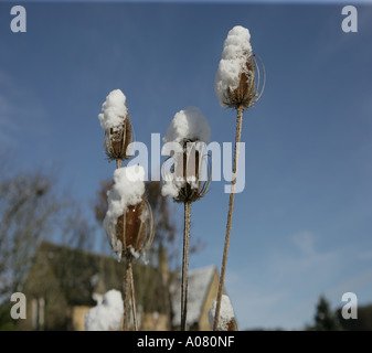 Un giorno gli inverni nel villaggio Costwold di Naunton dopo le notti neve, andato Foto Stock