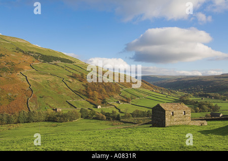 Yorkshire Dales National Park Stone Barns a Swaledale vicino a Keld nel nord dello yorkshire yorkshire Dales National Park North yorkshire inghilterra regno unito europa Foto Stock