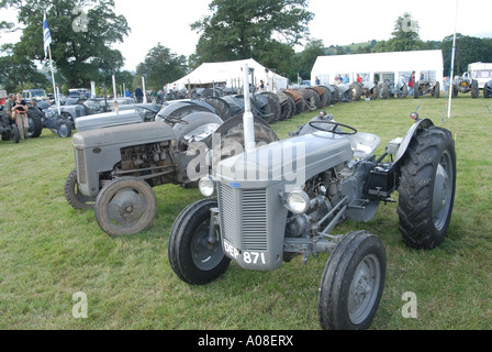 Mostra agricola Merionydd Sioe Bala North West Wales Foto Stock