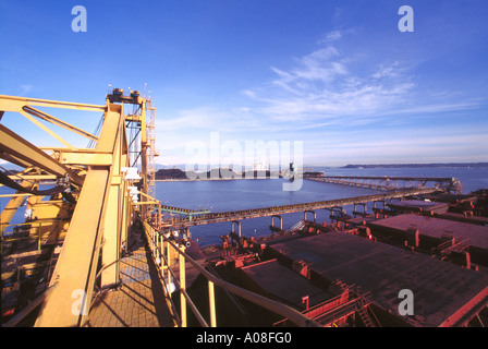 Una nave Ocean-Going caricamento di carbone a terminali di Westshore at Roberts Bank vicino a Vancouver in British Columbia Canada Foto Stock