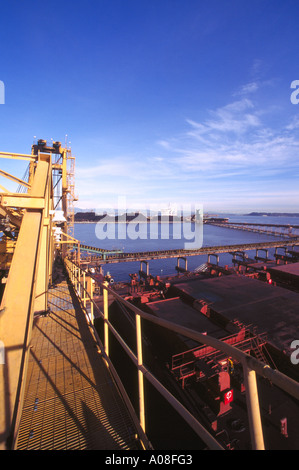 Una nave Ocean-Going caricamento di carbone a terminali di Westshore at Roberts Bank vicino a Vancouver in British Columbia Canada Foto Stock