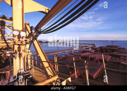 Una nave Ocean-Going caricamento di carbone a terminali di Westshore at Roberts Bank vicino a Vancouver in British Columbia Canada Foto Stock