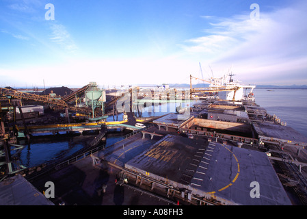 Una nave Ocean-Going caricamento di carbone a terminali di Westshore at Roberts Bank vicino a Vancouver in British Columbia Canada Foto Stock