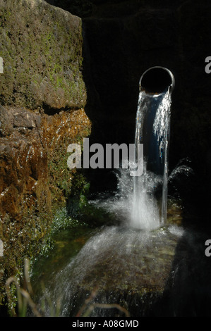 Sgorga primavera in montagna nelle montagne di roccia arenaria dell'Elba Foto Stock