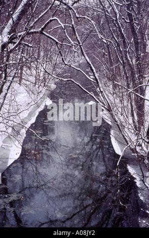 Scena invernale di Minnehaha Creek, il parco della città di Minneapolis, MN, Minnesota, Stati Uniti d'America, Stati Uniti d'America Foto Stock