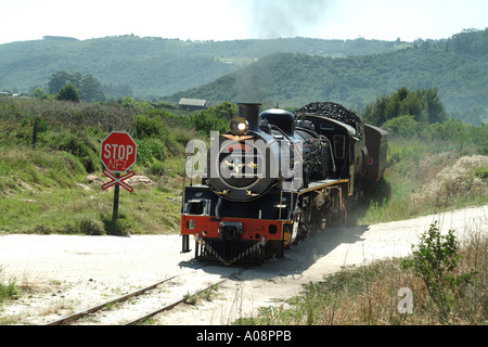 Di Outeniqua Choo Tjoe treno a vapore in ambiente rurale vicino al deserto di Western Cape South Africa RSA passa attraversamento senza equipaggio Foto Stock