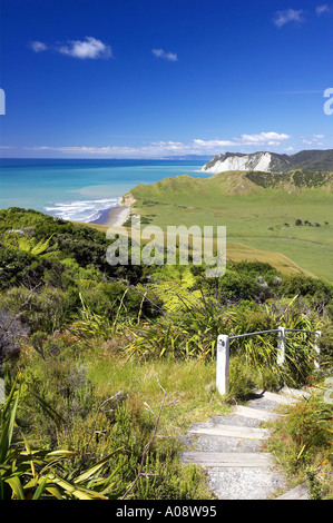 I terreni agricoli e via a East Cape Lighthouse Eastland Nuova Zelanda Foto Stock