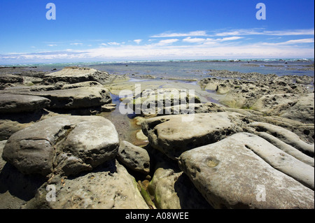 Le formazioni rocciose costiere vicino a te Araroa Eastland Nuova Zelanda Foto Stock